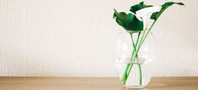 Cómo limpiar un jarrón de flores