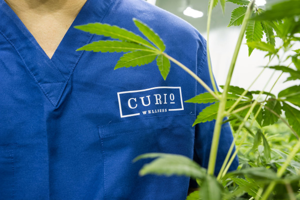 Curio Wellness lanza un fondo de $ 30 millones para ayudar a las mujeres y las minorías a tener un dispensario de cannabis