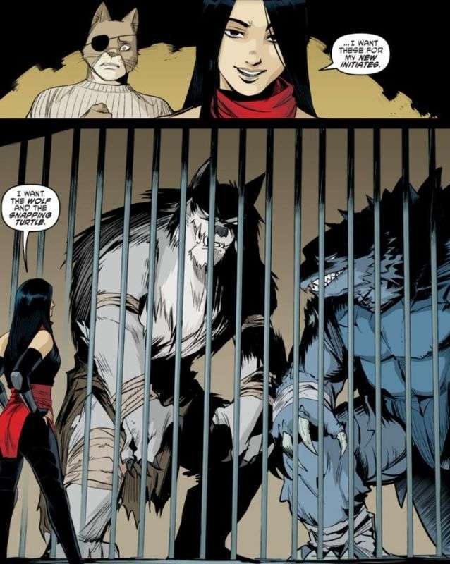 tokka y rahzar TMNT IDW tokka y rahzar TMNT IDW