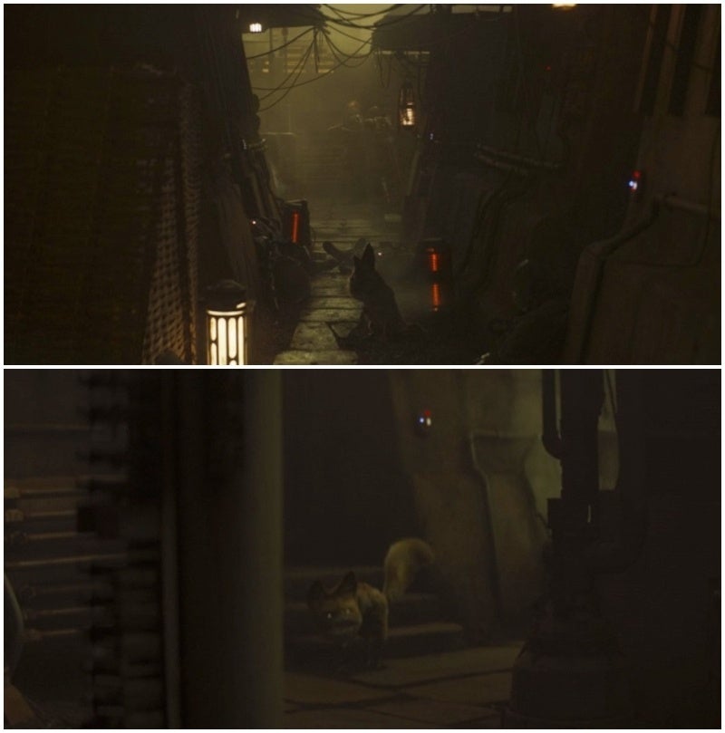 lothcats mandaloriano lothcats mandaloriano