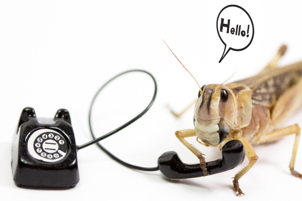 Kea recauda $ 10 millones para desarrollar inteligencia artificial que ayude a los restaurantes a contestar el teléfono