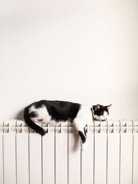 La nueva normativa afectará a edificios anteriores a 1998.