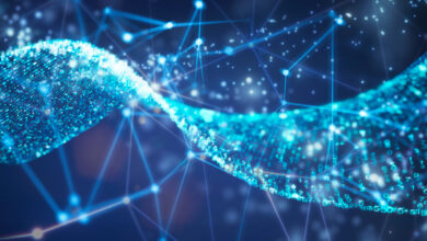 Materialise obtiene una inversión de $ 40 millones para la base de datos de transmisión de SQL