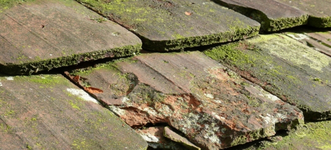 Mejores formas de usar TSP Cleaner