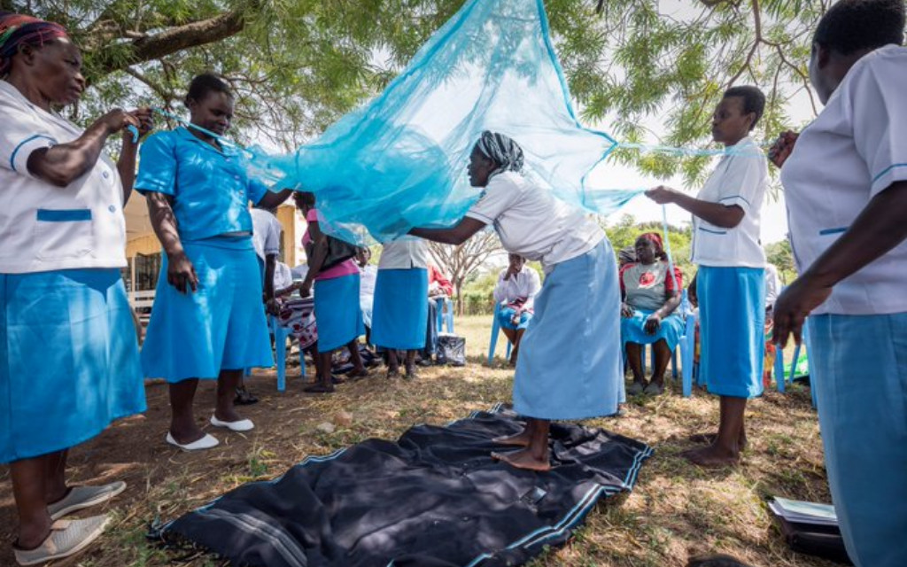 Muertes por malaria superarán a las de Covid-19 en África subsahariana: OMS