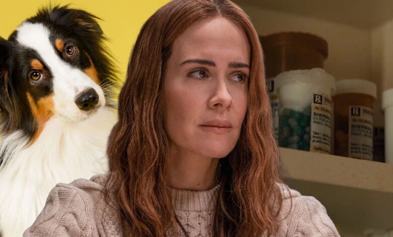 Run Movie Plot Hole: ¿Dónde está el perro de la familia? | Screen Rant