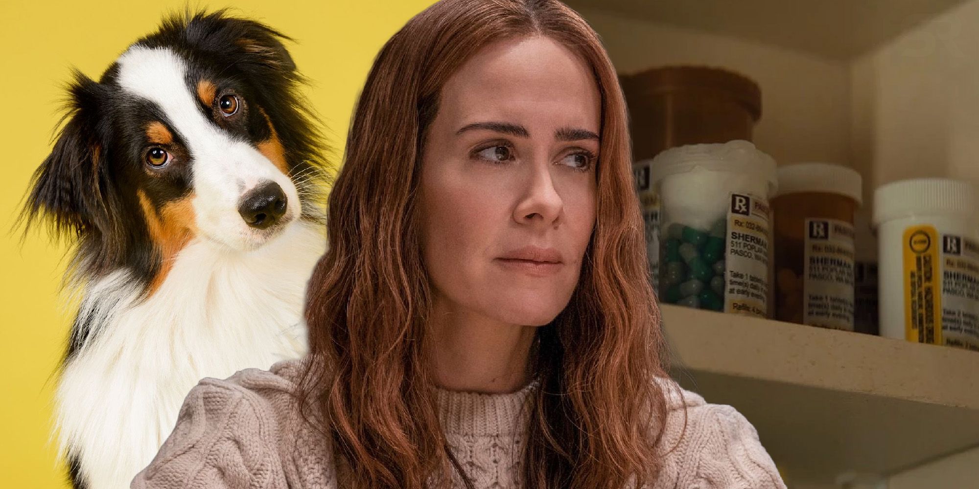 Run Movie Plot Hole: ¿Dónde está el perro de la familia?  |  Screen Rant