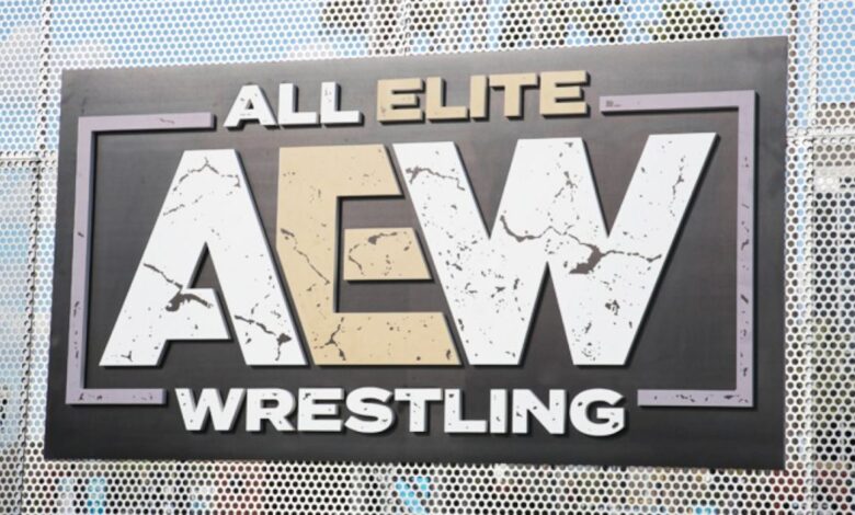 Se anuncian los detalles del juego de lucha AEW para rivalizar con WWE 2K