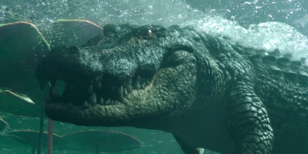 Tendencias de Jurassic Park después de que las fotos del enorme cocodrilo de Florida se vuelvan viral