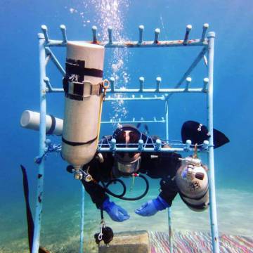 La cama especial construida para Saddam Killany.