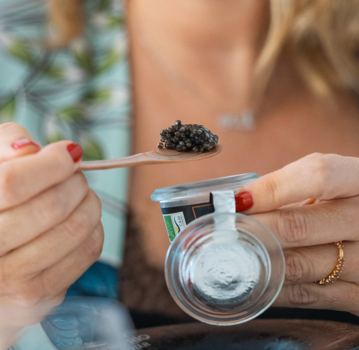 7 productos gourmet para las mesas festivas