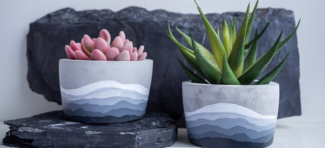 Cactus en macetas de cemento caseras sobre rocas de pizarra