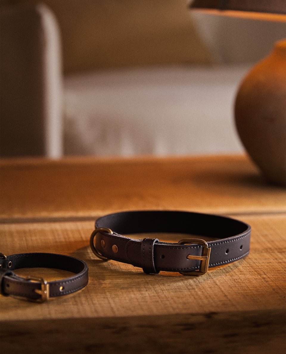 Zara Home: Lanza su nueva colección para mascotas que querrás tener en tu casa