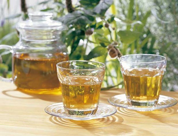 La infusión de hinojo de Mercadona te ayuda a quemar grasas de forma natural