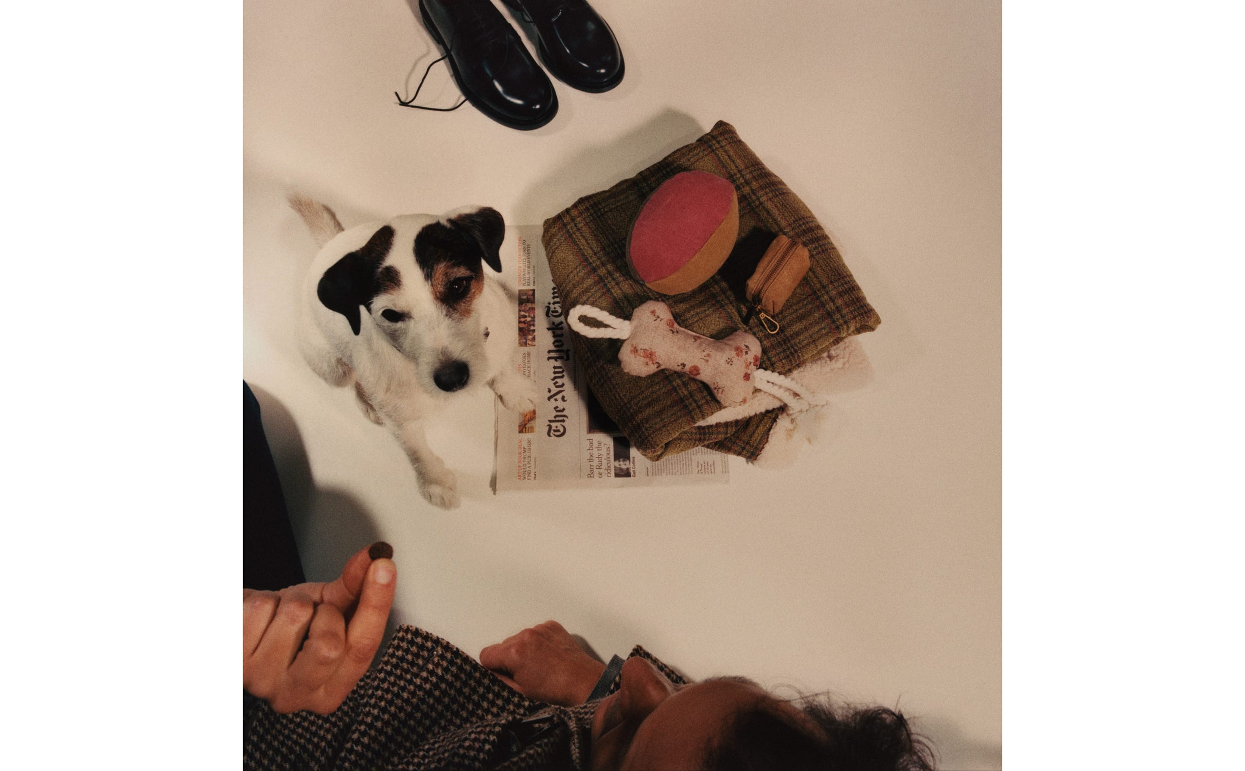 Zara Home: Lanza su nueva colección para mascotas que querrás tener en tu casa