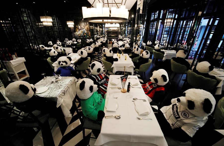 Por El Covid 19 Dueno De Restaurante Cerrado Usa Pandas De Peluche Para Salvarse De La Quiebra La Neta Neta