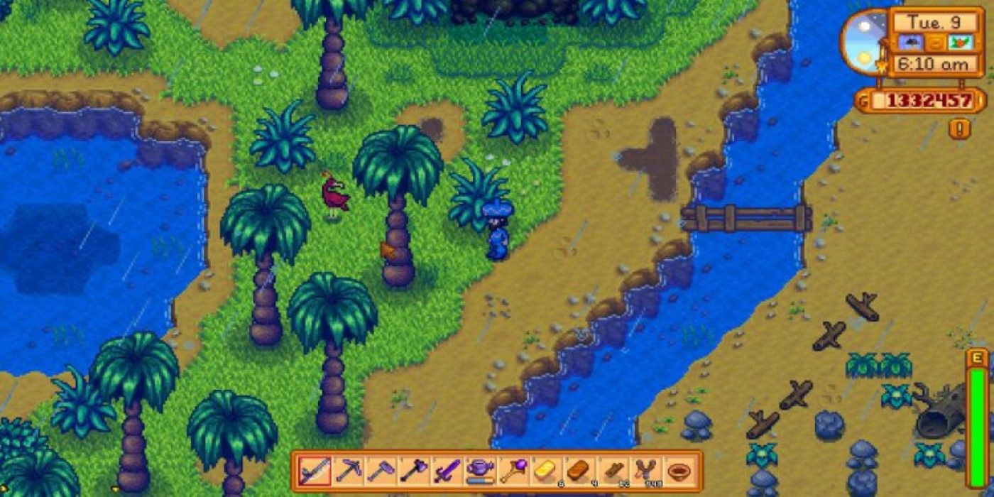 Stardew Valley: Cómo encontrar (y resolver) el rompecabezas de aves en Ginger Island