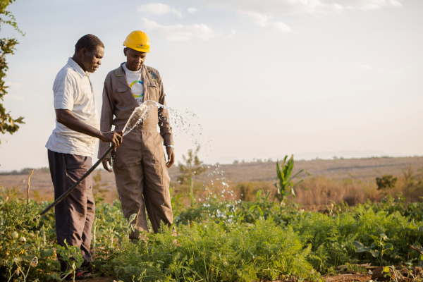 SunCulture quiere convertir África en la próxima canasta de pan del mundo, una bomba de agua solar a la vez