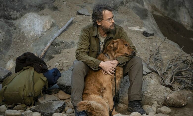 The Stand: Greg Kinnear basó su personaje en Stephen King