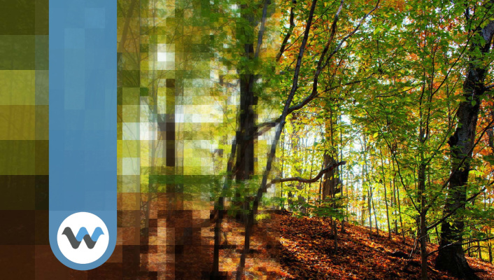 WaveOne tiene como objetivo hacer que el video sea nativo de la IA y convertir la transmisión al revés