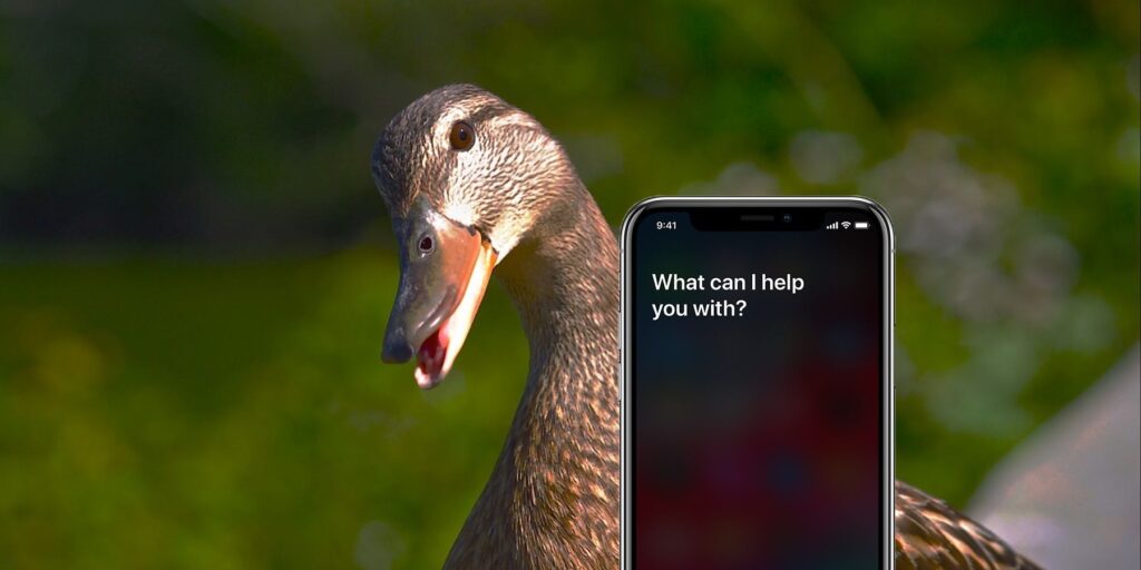 iOS 14.3: Cómo hacer que Siri Quack sea como un pato | Screen Rant