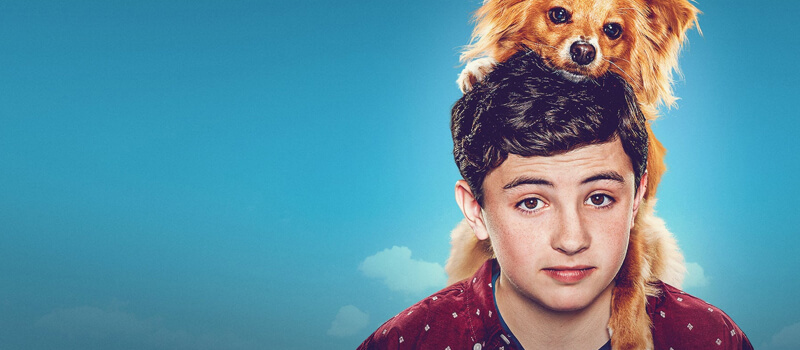 los poderes curativos del tipo netflix