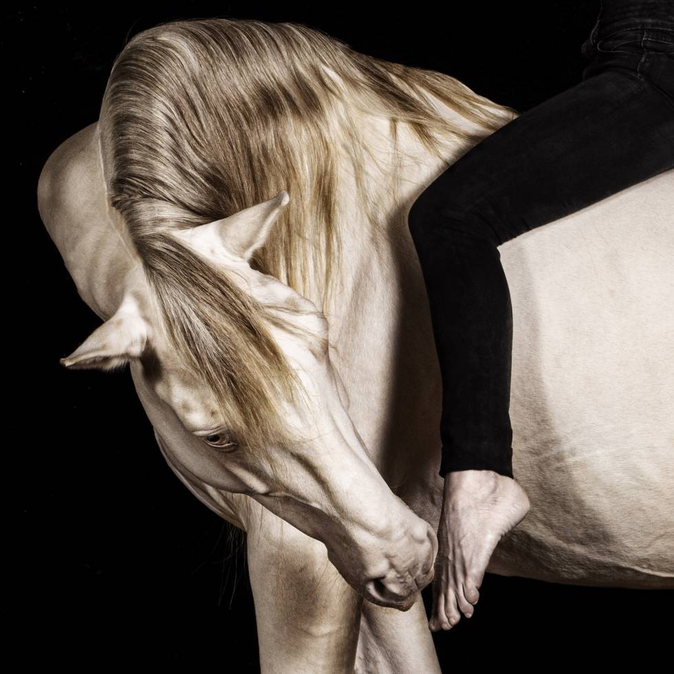 Rango y la amazona Sonsoles Roldán, de la yeguada Las Cadenas, en Madrid.