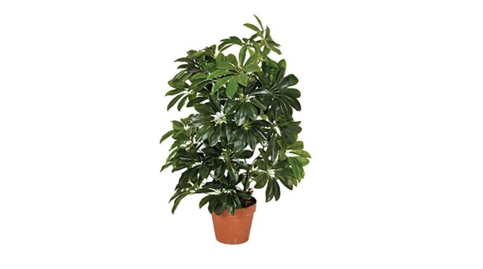 10 plantas y flores artificiales para decorar la casa que parecen de verdad