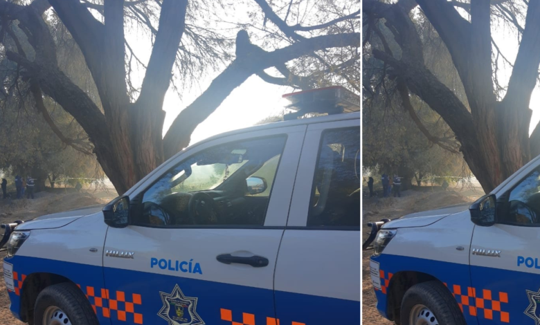 Se suicida un joven en un cerro, se colgó de un árbol, cerca de Visthá, San Juan del Río