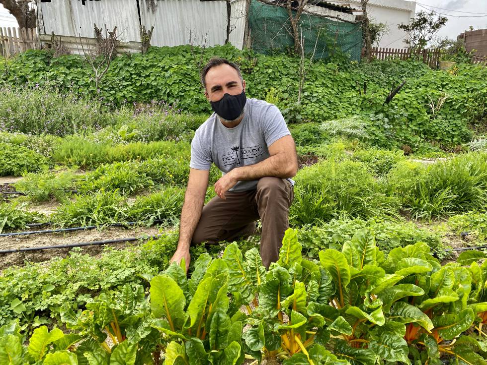 Rafael Monge, en su navazo Cultivo Desterrado. J. C. CAPEL