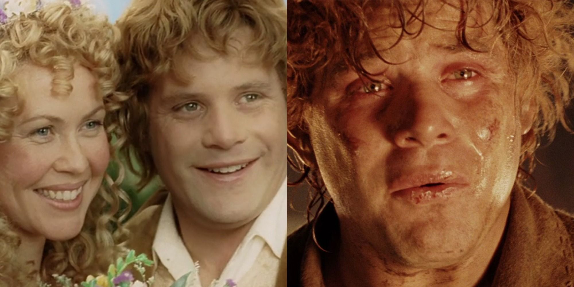 15 frases conmovedoras y conmovedoras de Samwise Gamgee