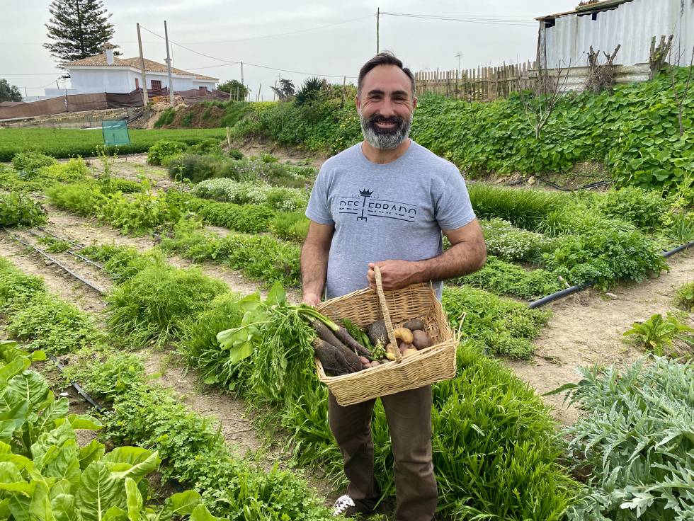 Rafael Monge. J. C. CAPEL