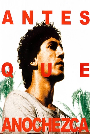 Antes que anochezca