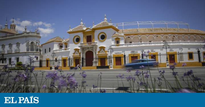 Los toros salen del coma y desafían a la pandemia en la Maestranza de Sevilla