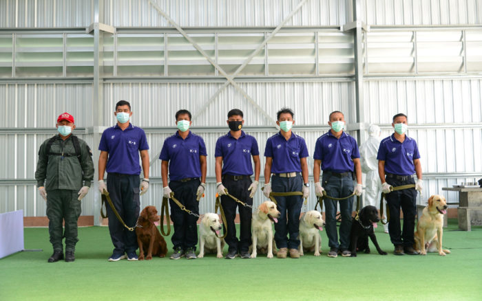 Perros tailandeses pueden detectar el Covid-19 en el sudor, muestra proyecto