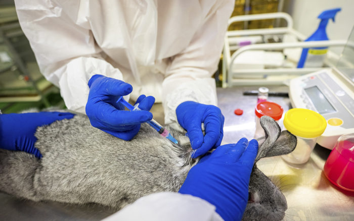 Rusia registra la primera vacuna anti-Covid para animales