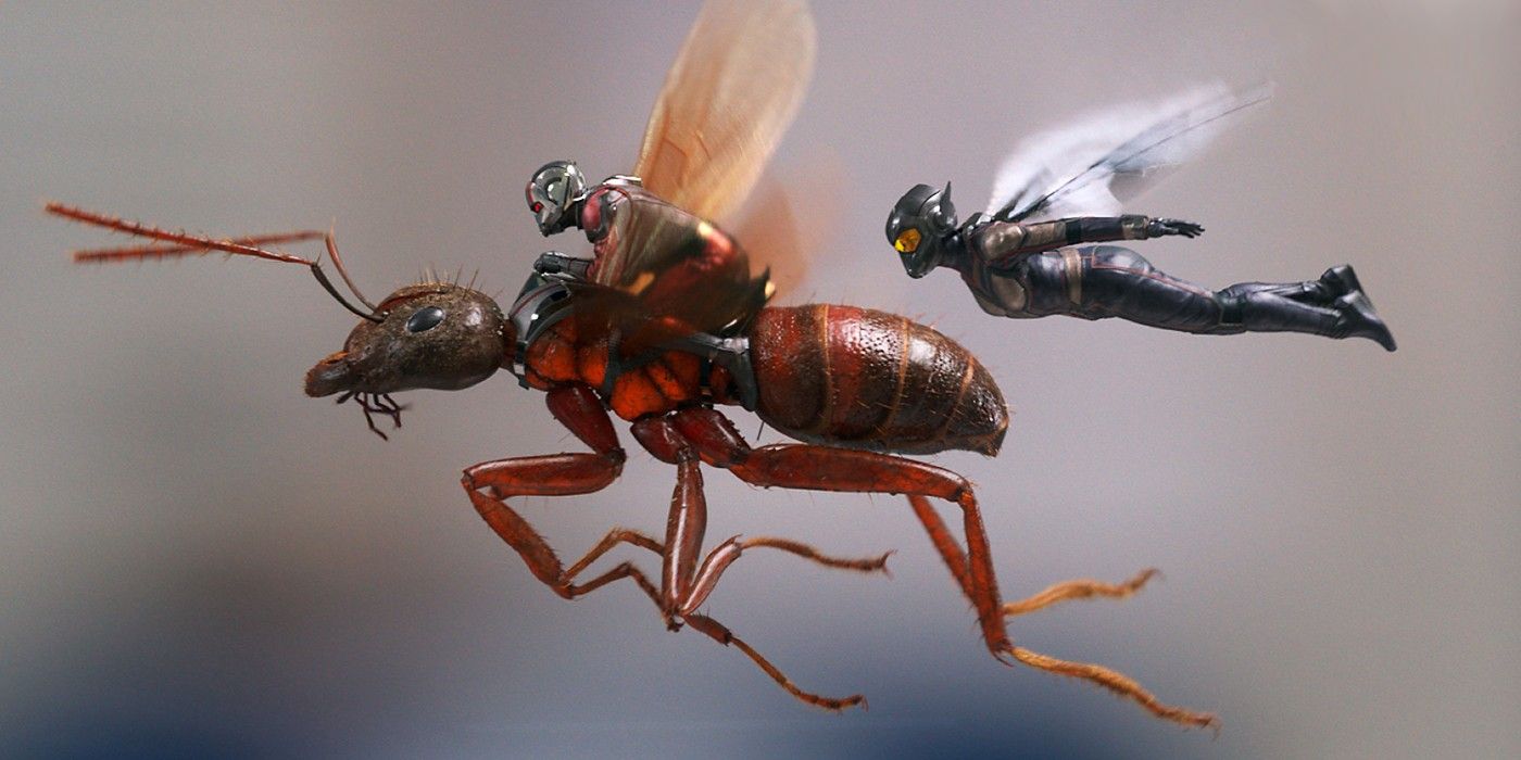 Ant-Man 3 supuestamente tiene un título de trabajo sumamente extraño