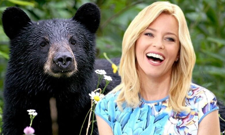 Cocaine Bear: fecha de lanzamiento y detalles de la historia |
