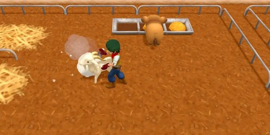 Cómo conseguir más cachemir en Harvest Moon: One World |