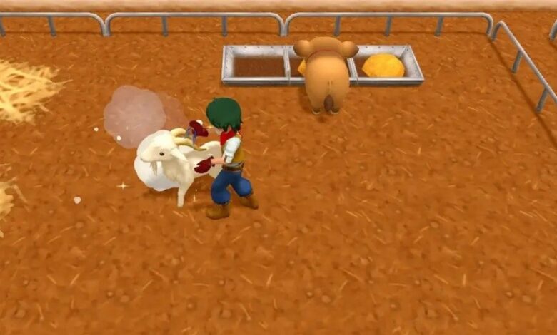 Cómo conseguir más cachemir en Harvest Moon: One World |
