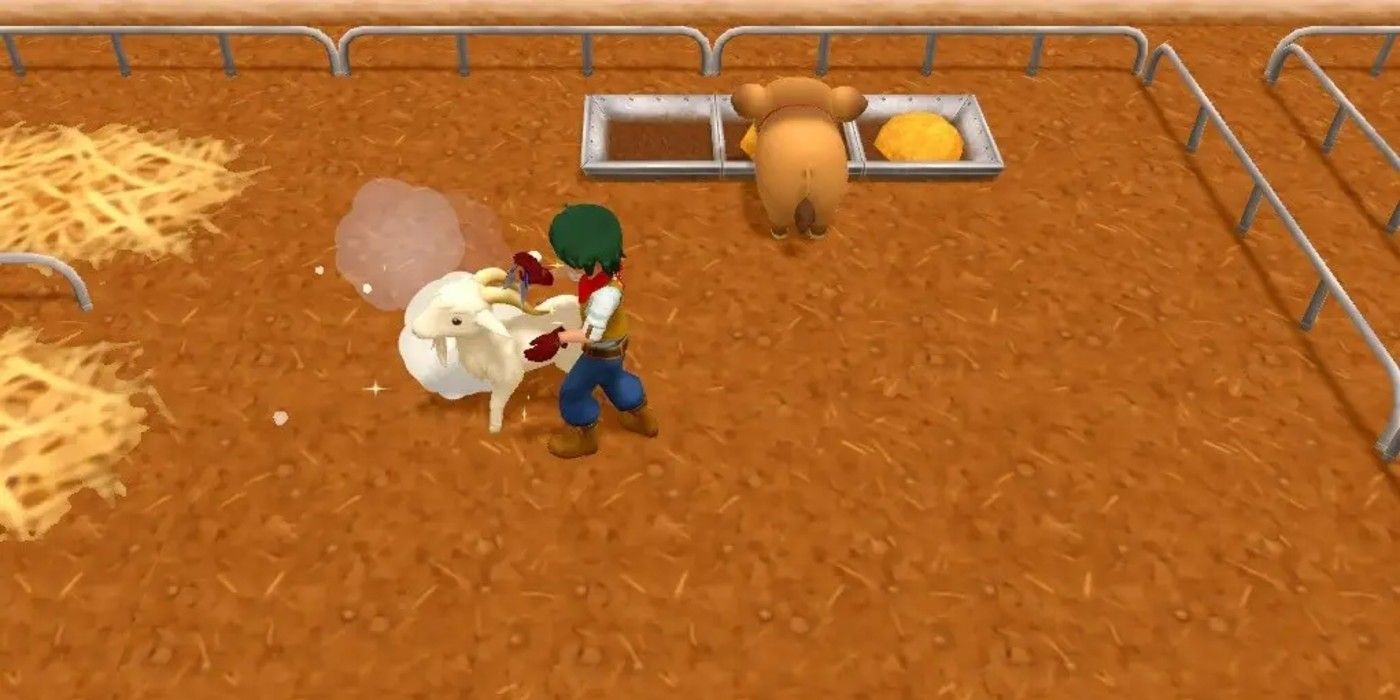 Cómo conseguir más cachemir en Harvest Moon: One World |