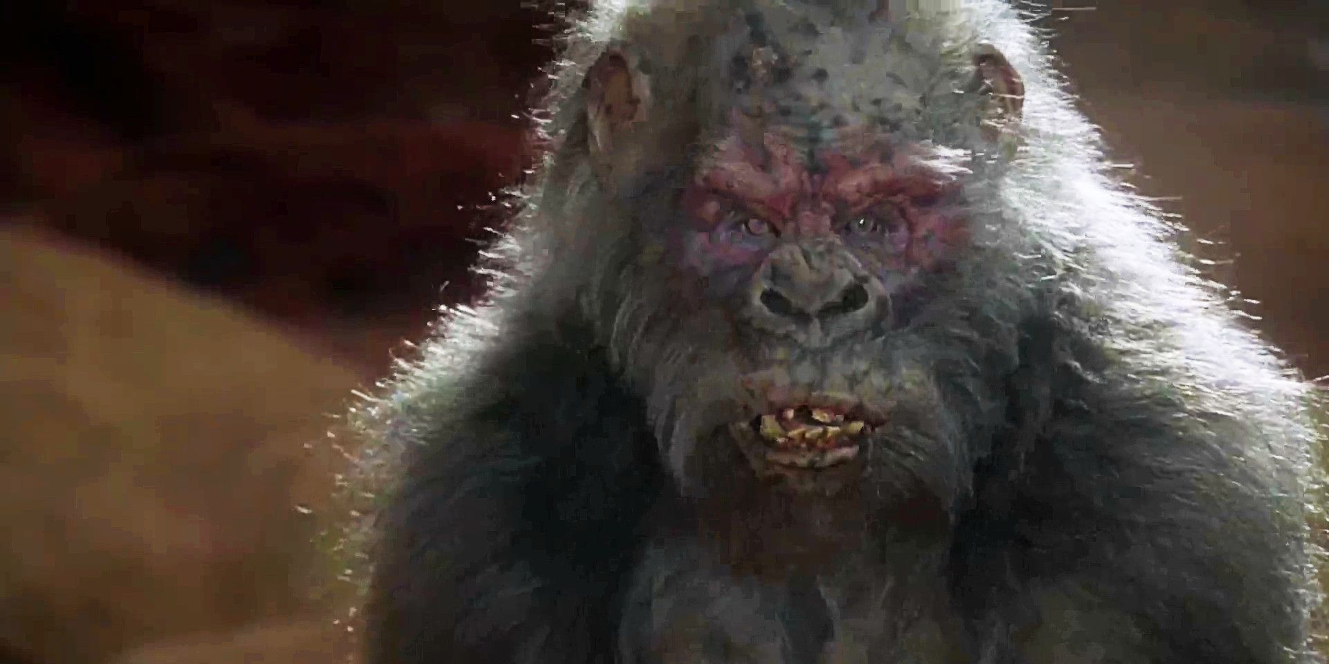 Congo: Por qué la adaptación de Michael Crichton tardó 15 años en realizarse