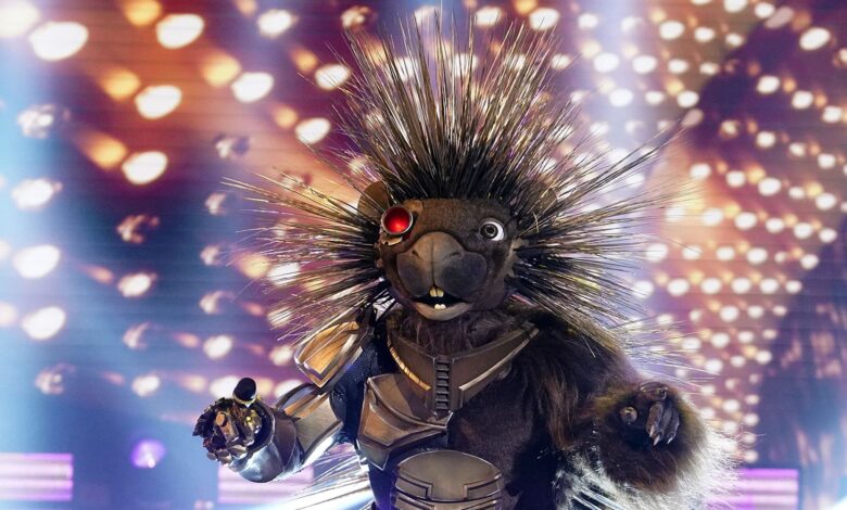 El cantante enmascarado: ¿Quién es Robopine? El presentador de Gameshow tiene más de 60 años
