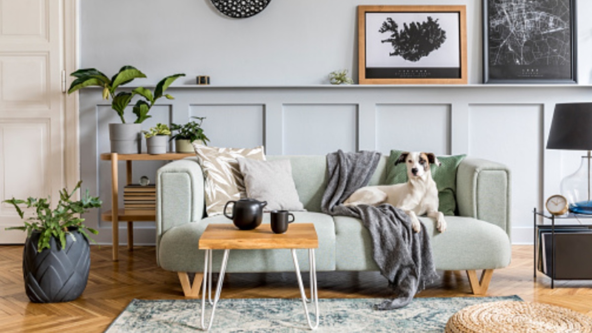 El verde se lleva, estas son las plantas que no pueden faltar en tu salón