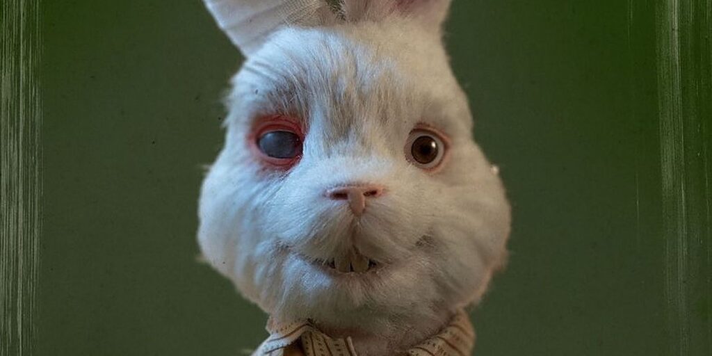 Guarda el video y el póster de Ralph muestran a Taika Waititi como un conejo que habla