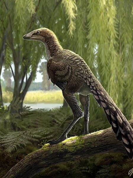 Reconstrucción del 'Tamarro insperatus'