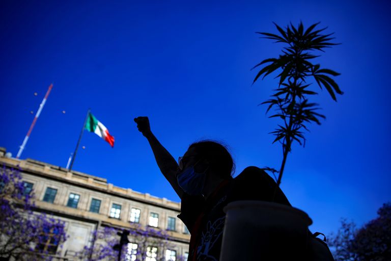 Un activista a favor de la legalización de la marihuana, en Ciudad de México.