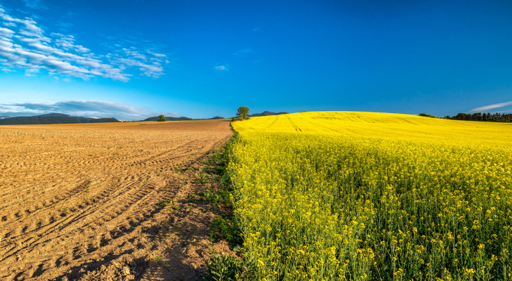 La agricultura regenerativa es el próximo gran aliado en la lucha contra el cambio climático