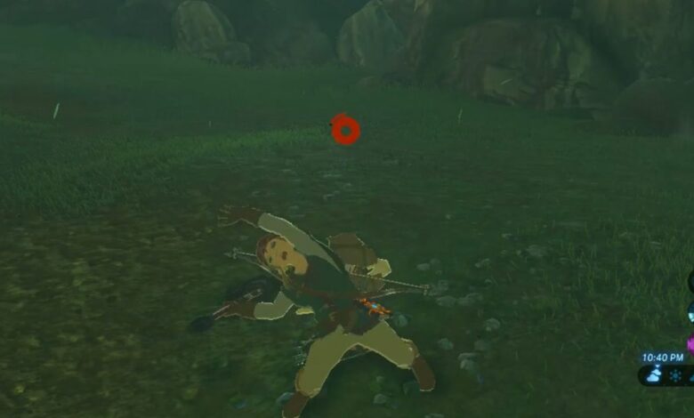 La animación de ataque sutil de BOTW sorprende a los jugadores 4 años después