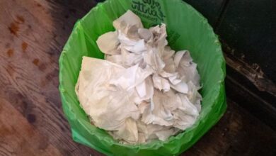 La startup de papel higiénico respaldada por Marc Benioff, Dara Khosrowshahi y Robert Downey Jr. ahora vende toallas de papel
